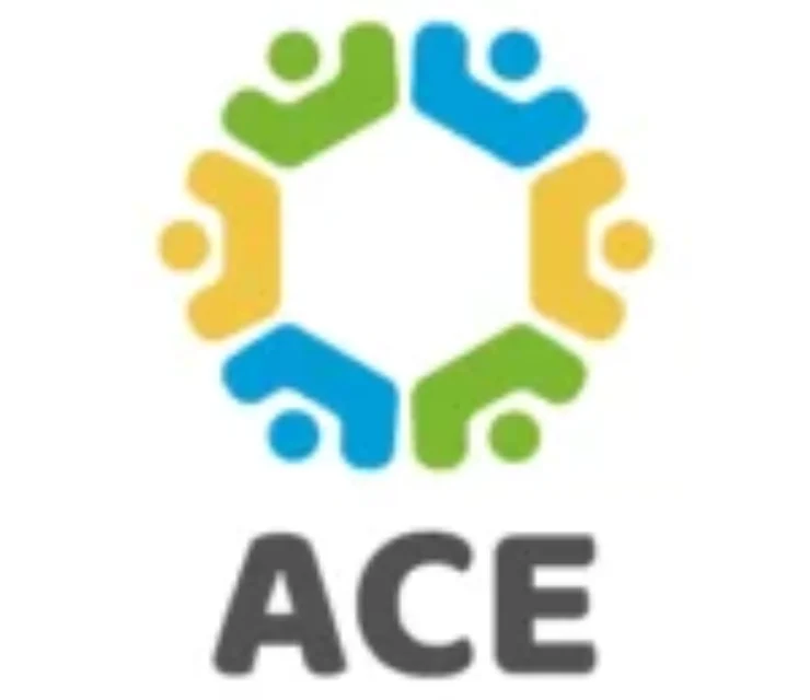 Call Centre Agent (10)