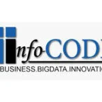 Info-Code Consults