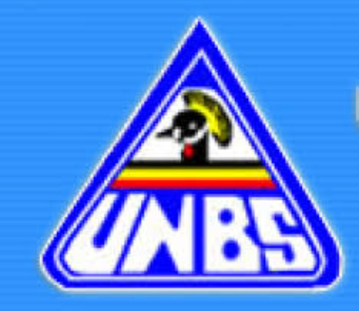 Principal Business Process & Data Analyst  – Jobs In Uganda
