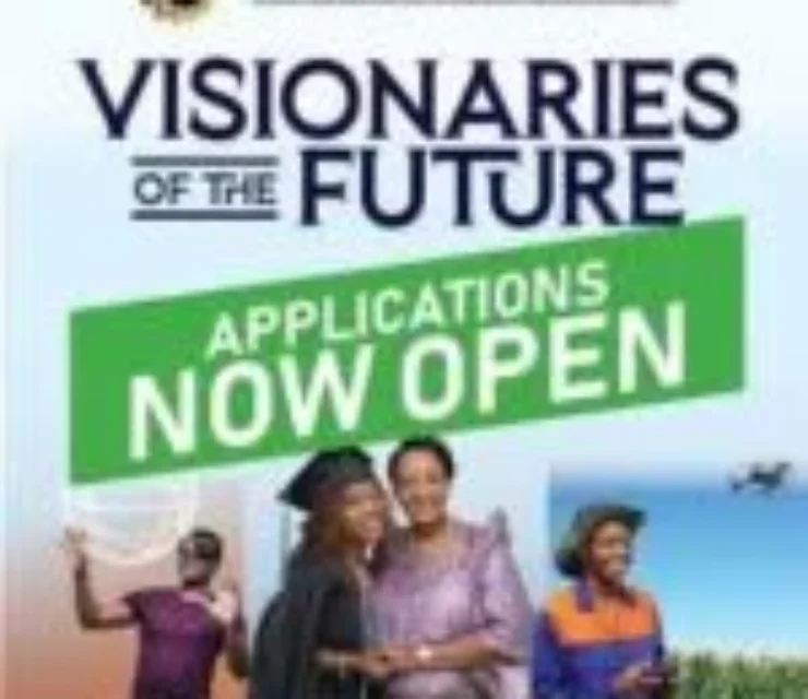 Undergraduate and Postgraduate Visionaries of the Future scholarships at Madhvani Foundation