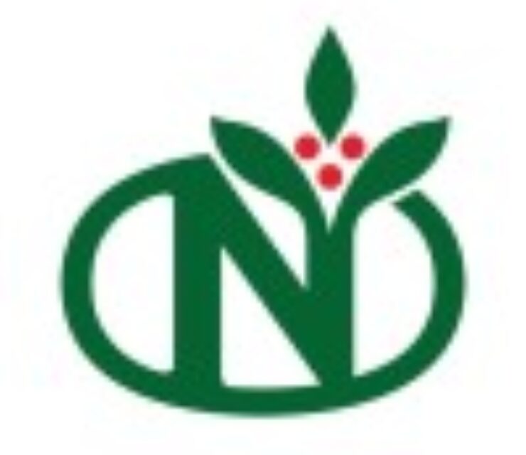HR & Admin Associate