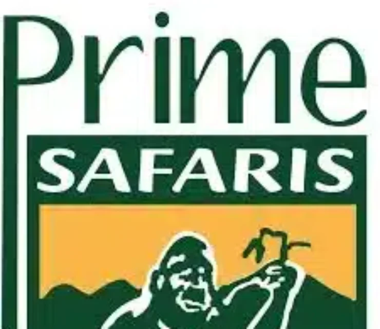 Content Writer (4) – Jobs In Uganda
