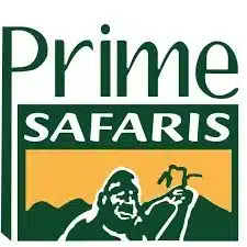 Social Media Manager (4)   – Jobs In Uganda