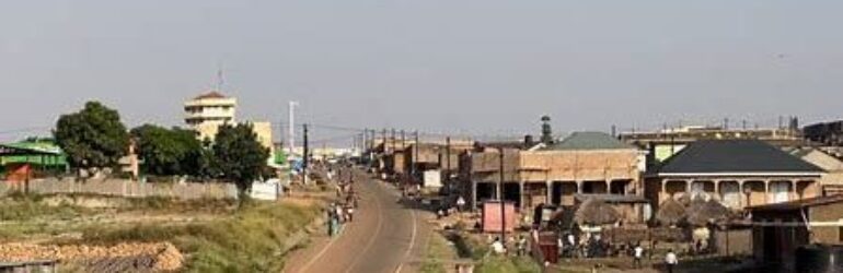 Job Opportunity: Data Collectors (4) – LIDIT  Jobs in Uganda
