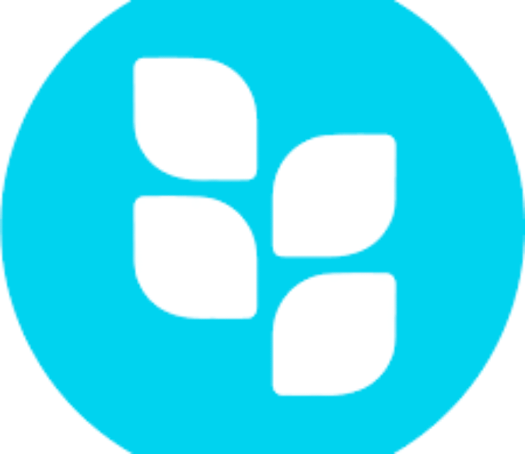 Software Developer (Medior)