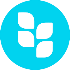 Software Developer (Medior)