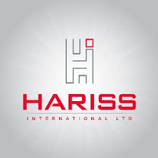 Social Media Executive