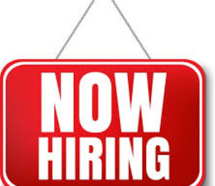 Web Administrator