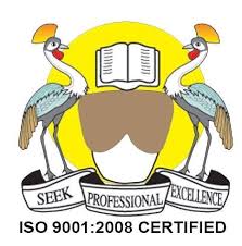 Manager Finance and Accounting