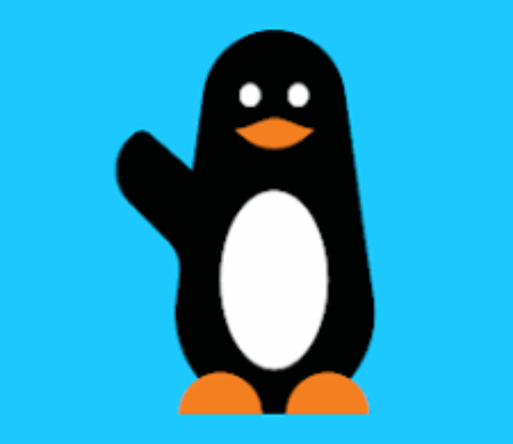 Fraud Analyst