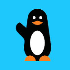 Fraud Analyst