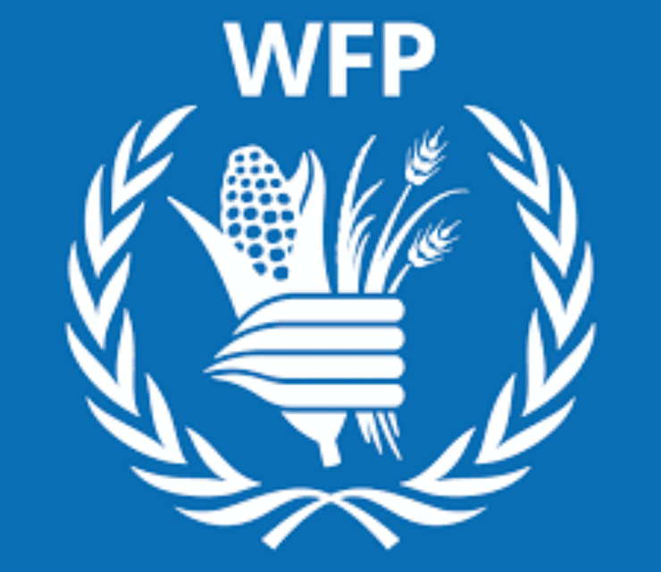 Programme Policy Officer