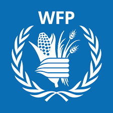 Programme Policy Officer