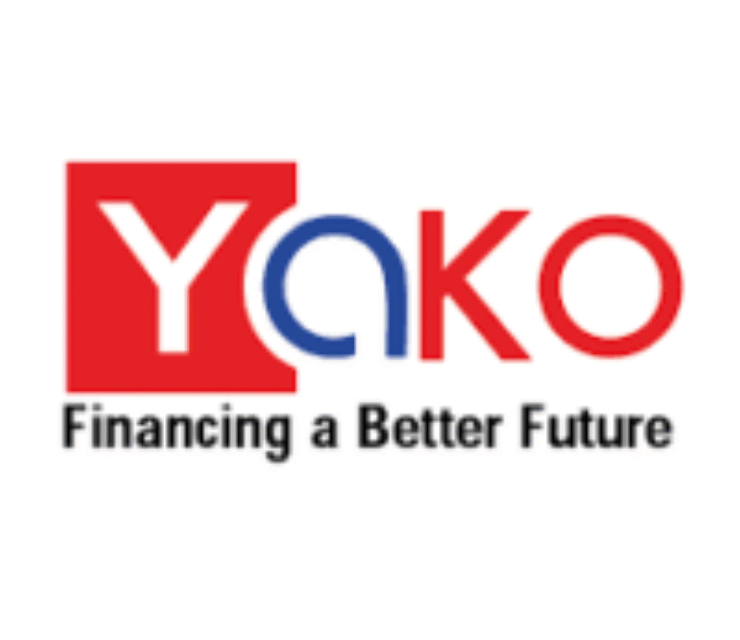 Credit Analyst