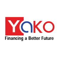 Credit Analyst