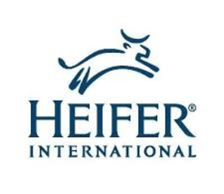 Learning & Culture Intern