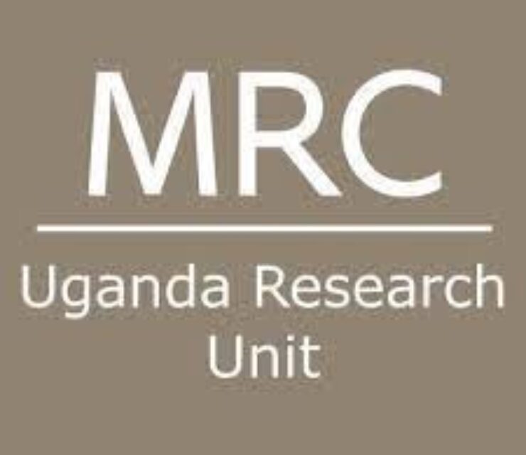 Youth Researchers (4 Positions)