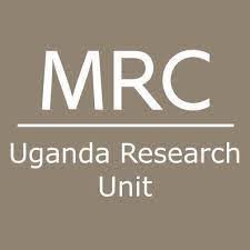 Youth Researchers (4 Positions)