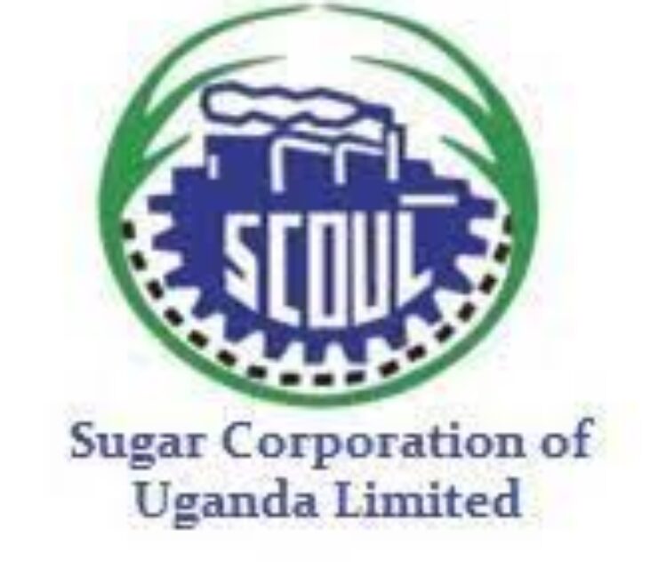 13 Jobs at SCOUL