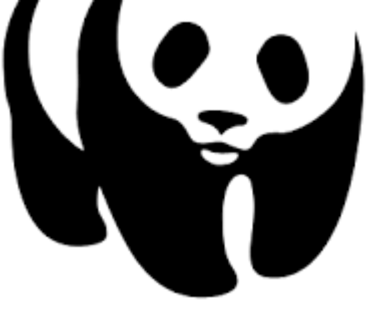 Environmental and Social Safeguards (ESSF) Specialist