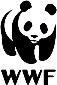 Forests and Market Transformation Manager