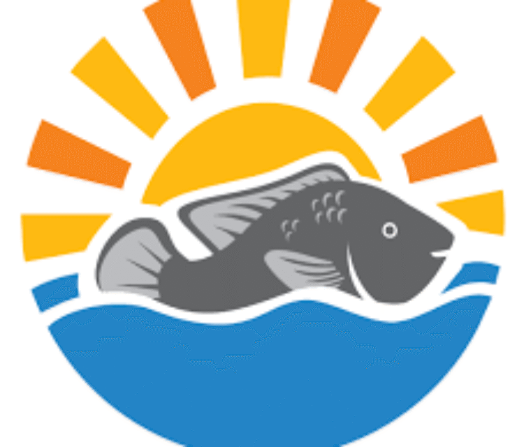 SALES EXECUTIVE