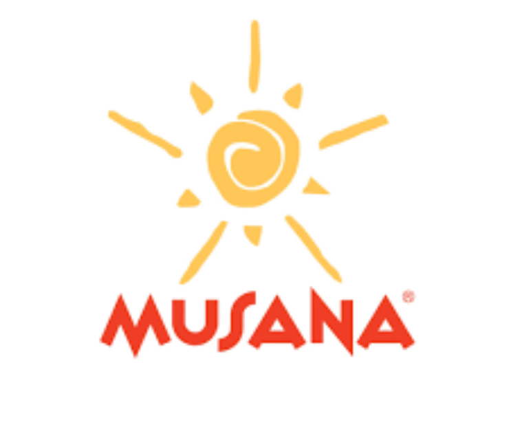 ACCOUNTS OFFICER