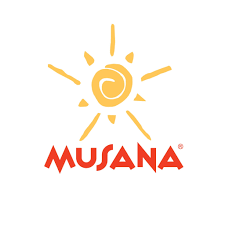 ACCOUNTS OFFICER