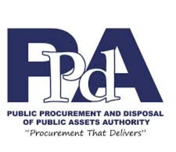 Senior Officer, Performance Monitoring